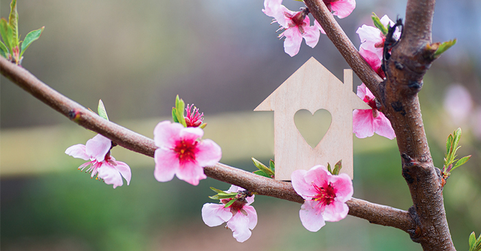 Read more about the article How Buyers & Sellers Can Prepare For An Early Start To The Spring Market